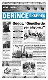 DERİNCE EKSPRES